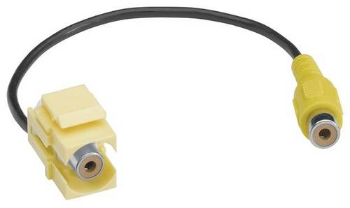 Hager Cinch-Einbaumodul Keystone 1St.