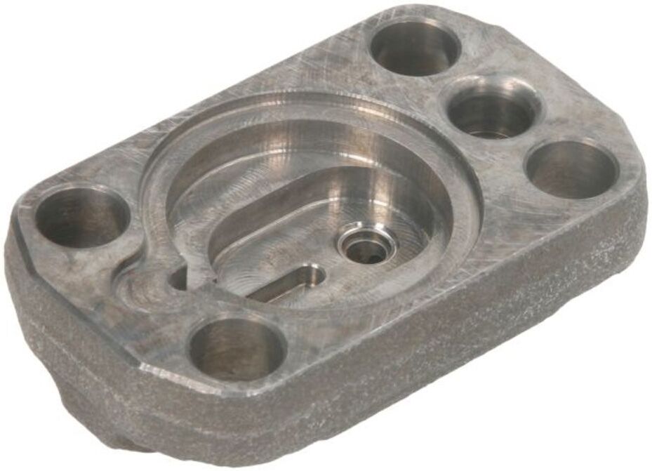Zylinderkopf, Common-Rail Pumpe BOSCH F 01M 101 694