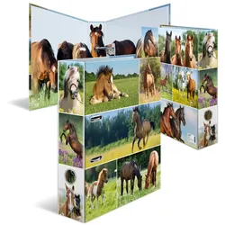 HERMA Motiv-Ordner A4 Animals Pferdewiese