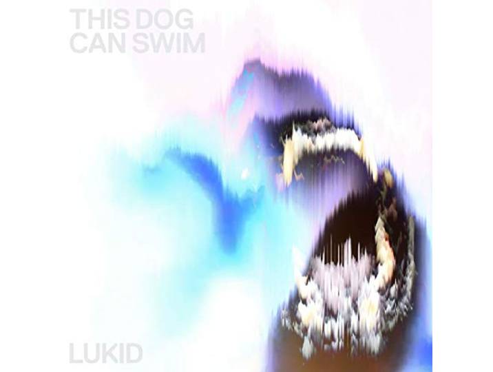 This Dog Can Swim