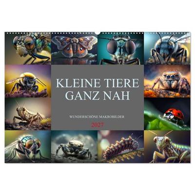 Kleine Tiere ganz nah (Wandkalender 2027 DIN A2 quer), CALVENDO Monatskalender