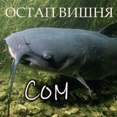Som - Ostap Vyshnya, Audio, 4099995448443