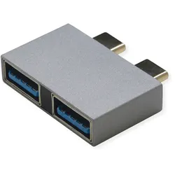 ROLINE USB 3.2 Gen 2 Adapter, 2x USB Typ C - 2x Typ A, ST/BU, silberfarben