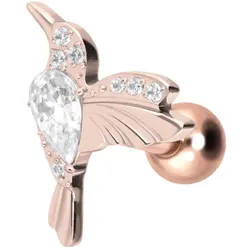 Titan Ohrpiercing mit Innengewinde KOLIBRI