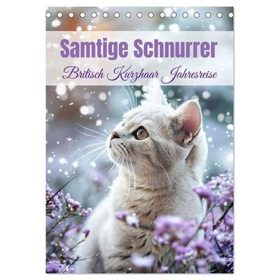 Samtige Schnurrer (Tischkalender 2026 DIN A5 hoch), CALVENDO Monatskalender