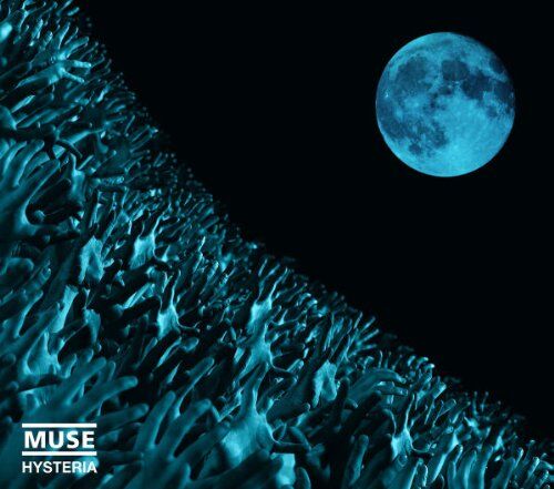Muse - Hysteria - Preis vom 16.10.2026 11:41:07 h