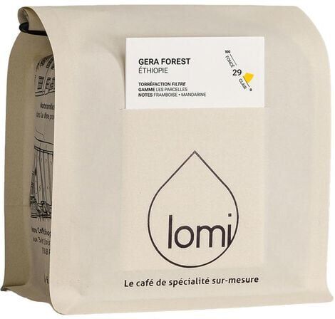 cafeLomi Café Lomi - Kaffeebohnen – Ethiopia Gera Forest Honey Bio - 250 G - MaxiCoffee