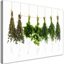LEINWANDBILD Kräuter Gewürze Pflanzen 100x70cm