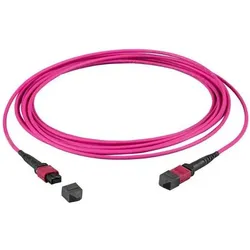 EFB Elektronik MTP-F/MTP-F 12-Fasermatrix Patchkabel OM4,LSZH erika-violett, Code B, 2m, Anwendung (2 m), Netzwerkkabel