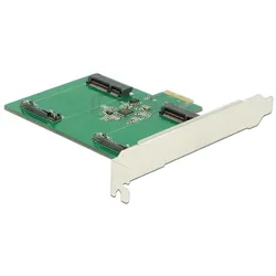 Delock Speicher-Controller, Storage Controller