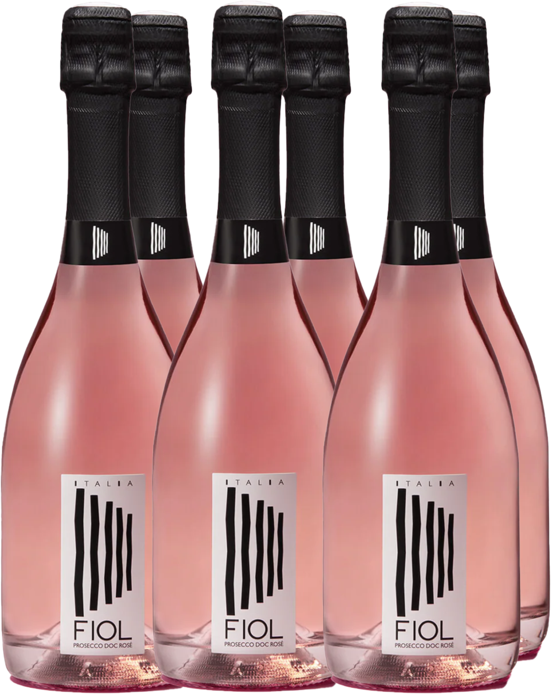 Fiol Wine Box Prosecco Rosé (6bt)