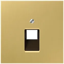 Jung Abdeckung Mess/clas ME 2969-1 UA C