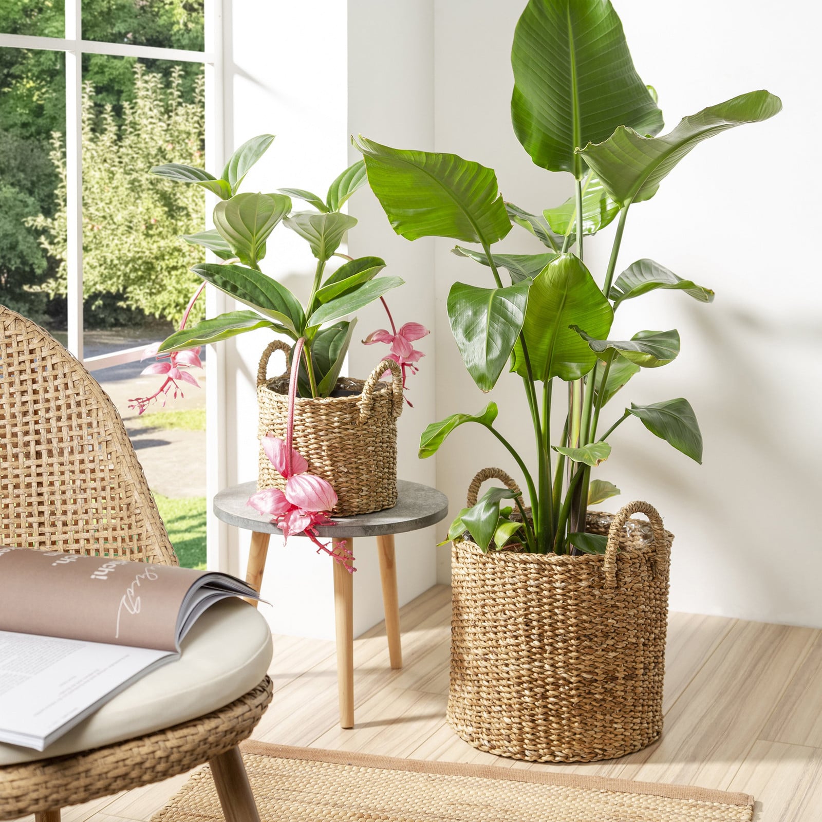 home24 Plantenbak tub bruin Ø 33 cm