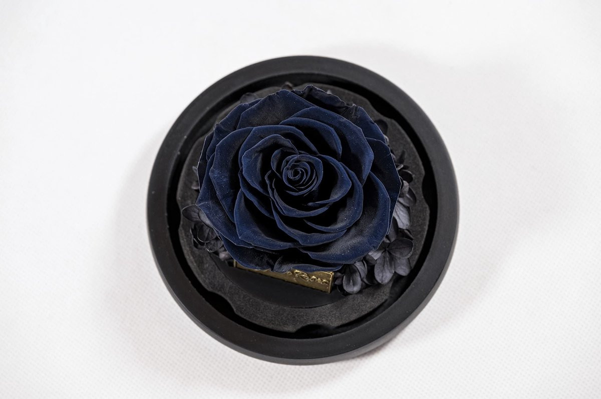 Dailygoods Geconserveerde Infinity-roos met geschenkdoos