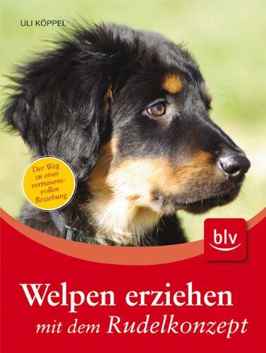 Uli Köppel - Welpen erziehen mit dem Rudelkonzept - Preis vom 17.10.2026 19:25:27 h