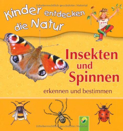 Insekten und Spinnen erkennen und bestimmen: Kinder entdecken die Natur - Preis vom 11.10.2026 03:10:56 h