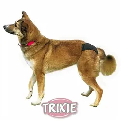 Trixie Schutzhöschen | M 40-49 cm schwarz Hundewindeln