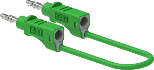 Electro PJP 2111-CD1-25V Messleitung 25cm Grün 1St.