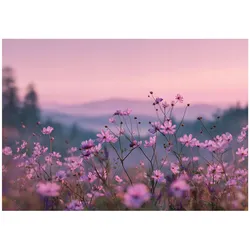 FOTOTAPETE Blumen Natur Rosa 416x254 cm