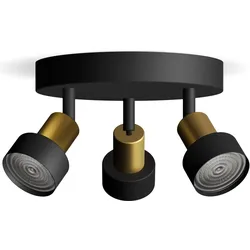 Philips, Deckenstrahler, Conduit (GU10)