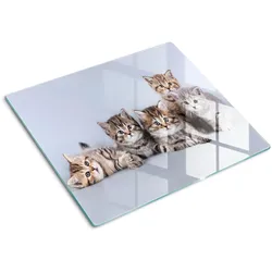 GLASPLATTE 60x52 cm Fünf Katzen