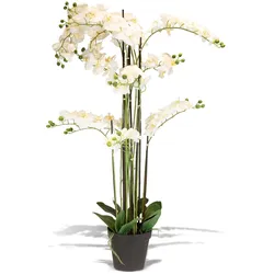 Künstliche Orchidee weiß 140 cm