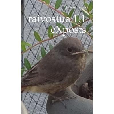 raivostua 1.1, Taschenbuch von Jochen Krueger, BoD – Books on Demand, 978-3-8192-9598-0