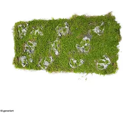 HTI-Living, Kunstpflanzen, Moosmatte 100 x 30 cm Kunstpflanze (2 cm)