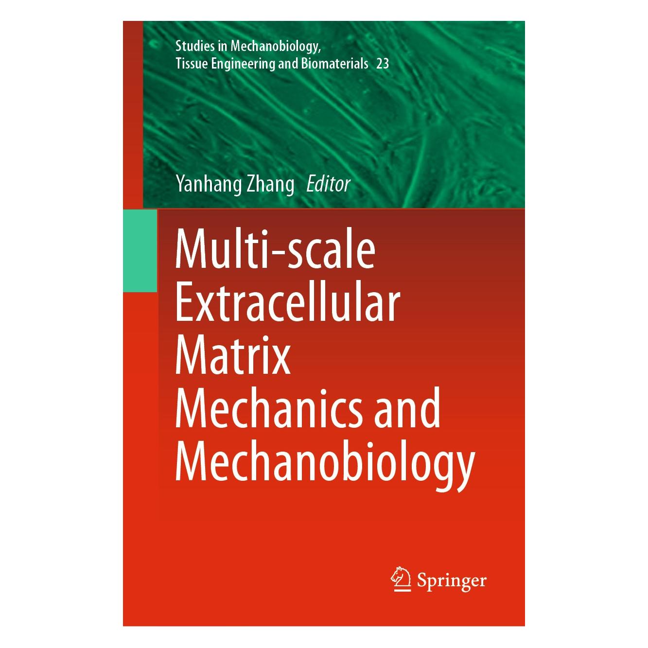 Springer Multi-scale Extracellular Matrix Mechanics and Mechanobiology (Englisch, Hardcover, Yanhang Zhang) (9783030201814)