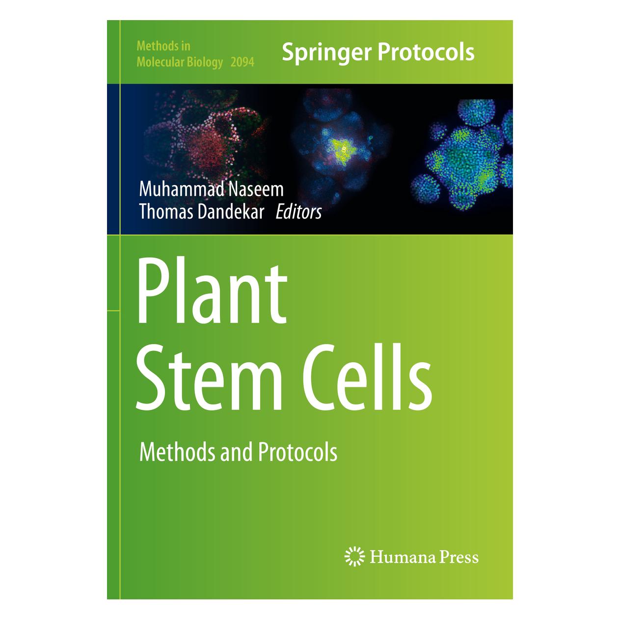 Springer Plant Stem Cells (Englisch, Softcover, Muhammad Naseem, Thomas Dandekar) (56167561)