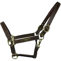 EQuest Lederhalfter Inscribe für Pferde, unterlegt - mocha, L - Full/Warmblut