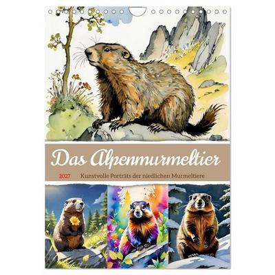 Das Alpenmurmeltier (Wandkalender 2027 DIN A4 hoch), CALVENDO Monatskalender