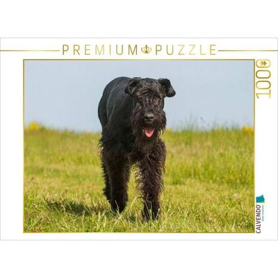 CALVENDO Puzzle Bester Freund Riesenschnauzer | 1000 Teile Lege-Größe 64x48cm Foto-Puzzle für glückliche Stunden