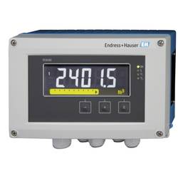 Endress+Hauser RIA46-B1A1A Anzeige für Sensoren RIA46 1 St.