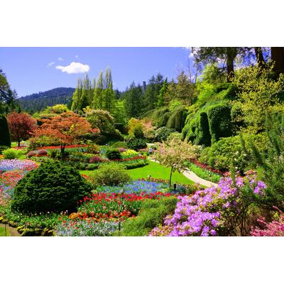 Fototapete PAPERMOON "Butchart Gardens", bunt, B:3,5m L:2,6m, Vlies, Tapeten