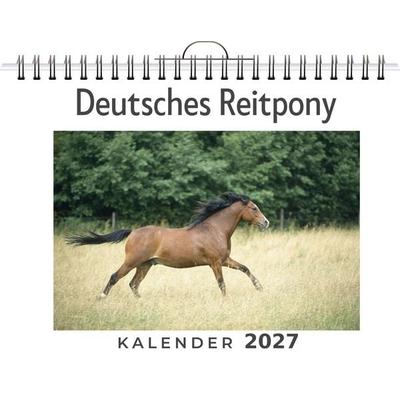 Deutsches Reitpony