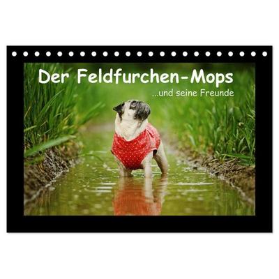 Der Feldfurchen-Mops (Tischkalender 2027 DIN A5 quer), CALVENDO Monatskalender