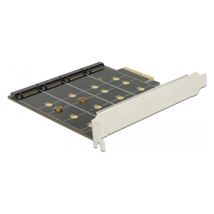 Delock Speichercontroller (RAID) (89888)