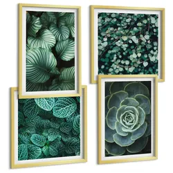 BILDER SET 4er Set - 50x50 cm & 40x60 cm Goldrahmen - Grüne Blätter von eleganten Sukkulenten
