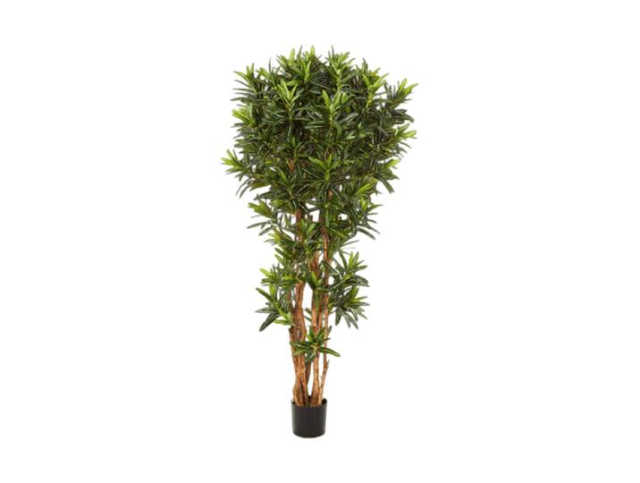 Lebensechte Kunstpflanze „Croton Goldfinger Reflexa“, verschiedene Grössen Grün Baq Design