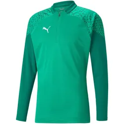 PUMA teamCUP Training 1/4-Zip Top Herren 05 - pepper green XXL