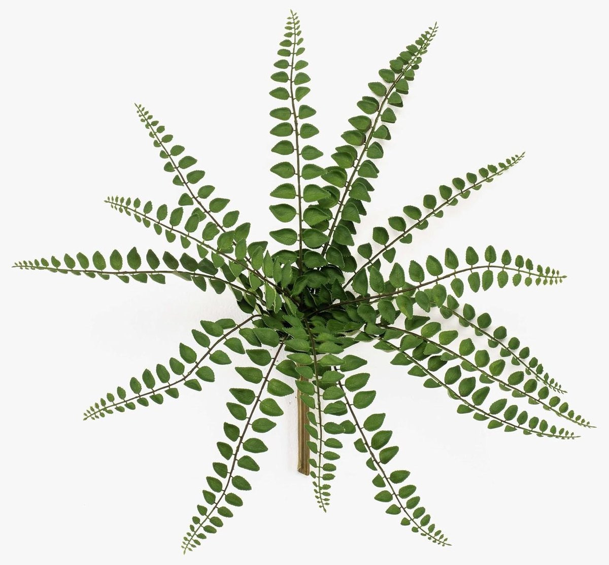 Kunstplant Pella Varen Groen - 35 cm