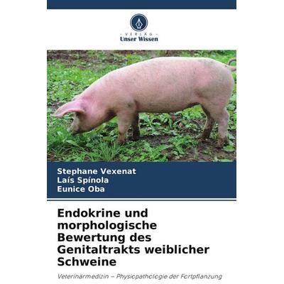 Endokrine und morphologische Bewertung des Genitaltrakts weiblicher Schweine -