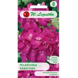 Beetpelargonie Gama F1 – violett