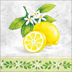 Ambiente 20 Servietten Papier 33x33cm 3-lagig - hochwertige Einweg Papierservietten Zitronenmotiv Sommerdeko Tischdeko Gartenparty Sommerfest Zitronenfest