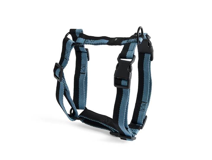 HAY - Dogs Hundegeschirr, M, blau / schwarz