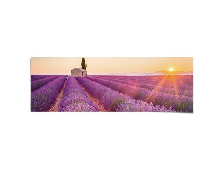 Poster Lavendel 53 x 158