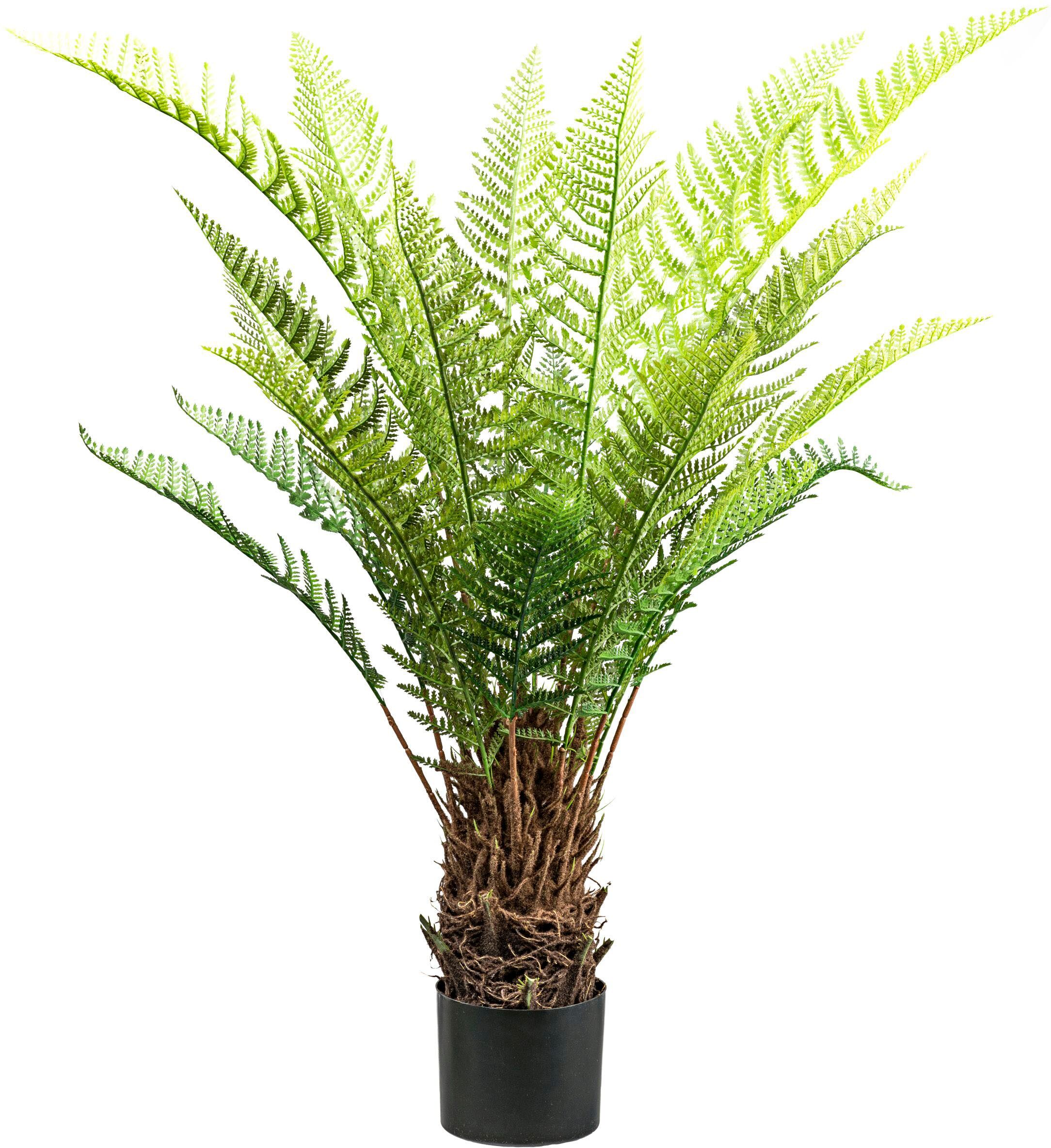 Kunstpflanze CREATIV GREEN "Baumfarn Dicksonia", grün, H:115cm, Kunstpflanzen, Kunstpflanze, in beeindruckender Größe