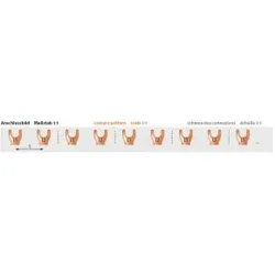 Pollmann 2217203 Phasenschiene G-2L-210 ML (12TE) G-2L-210ML(12TE)  - 20 Stück