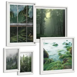BILDER SET 5er Set - 50x50 cm & 20x30 cm & 40x60 cm Weißer Rahmen - Nahaufnahmen von Blättern sukkulenter Pflanzen